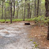 Review photo of Wellfleet Hollow State Park Campground by Jean C., May 30, 2020