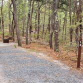 Review photo of Wellfleet Hollow State Park Campground by Jean C., May 30, 2020