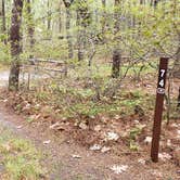 Review photo of Wellfleet Hollow State Park Campground by Jean C., May 30, 2020