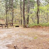 Review photo of Wellfleet Hollow State Park Campground by Jean C., May 30, 2020