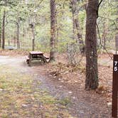 Review photo of Wellfleet Hollow State Park Campground by Jean C., May 30, 2020