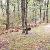 Review photo of Wellfleet Hollow State Park Campground by Jean C., May 30, 2020