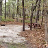 Review photo of Wellfleet Hollow State Park Campground by Jean C., May 30, 2020