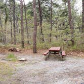 Review photo of Wellfleet Hollow State Park Campground by Jean C., May 30, 2020