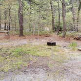 Review photo of Wellfleet Hollow State Park Campground by Jean C., May 30, 2020