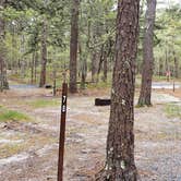 Review photo of Wellfleet Hollow State Park Campground by Jean C., May 30, 2020