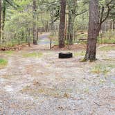 Review photo of Wellfleet Hollow State Park Campground by Jean C., May 30, 2020