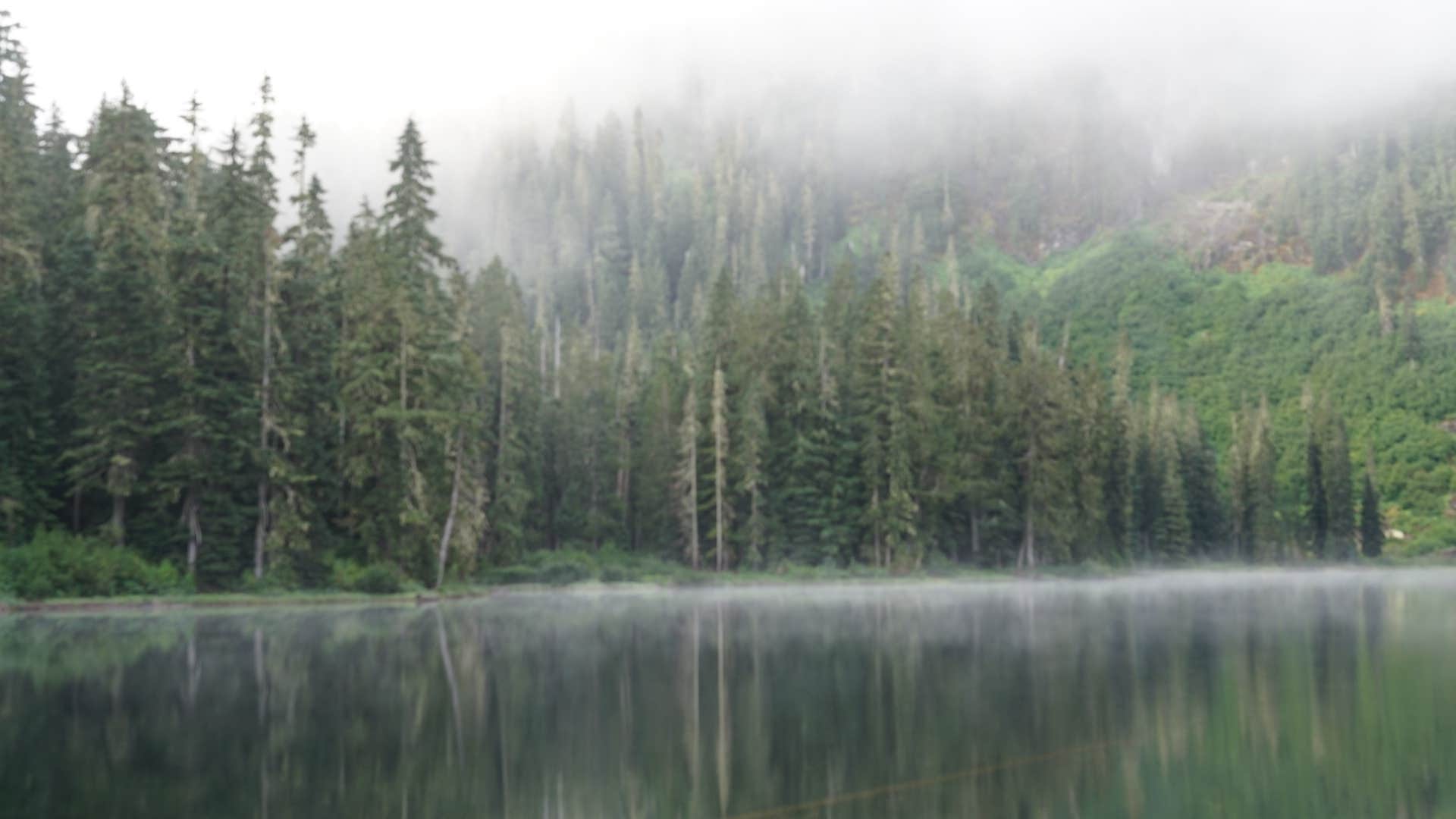 Camper submitted image from Cora Lake Back Country - 2