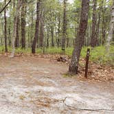 Review photo of Wellfleet Hollow State Park Campground by Jean C., May 30, 2020