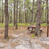 Review photo of Wellfleet Hollow State Park Campground by Jean C., May 30, 2020