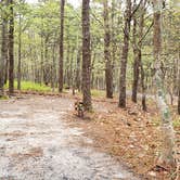 Review photo of Wellfleet Hollow State Park Campground by Jean C., May 30, 2020