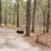 Review photo of Wellfleet Hollow State Park Campground by Jean C., May 30, 2020