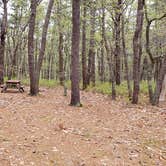 Review photo of Wellfleet Hollow State Park Campground by Jean C., May 30, 2020