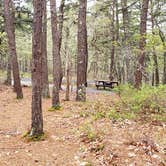 Review photo of Wellfleet Hollow State Park Campground by Jean C., May 30, 2020