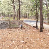 Review photo of Wellfleet Hollow State Park Campground by Jean C., May 30, 2020