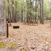 Review photo of Wellfleet Hollow State Park Campground by Jean C., May 30, 2020