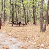 Review photo of Wellfleet Hollow State Park Campground by Jean C., May 30, 2020