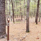 Review photo of Wellfleet Hollow State Park Campground by Jean C., May 30, 2020