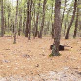 Review photo of Wellfleet Hollow State Park Campground by Jean C., May 30, 2020