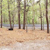 Review photo of Wellfleet Hollow State Park Campground by Jean C., May 30, 2020