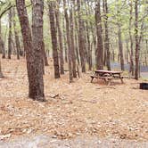 Review photo of Wellfleet Hollow State Park Campground by Jean C., May 30, 2020