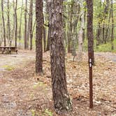 Review photo of Wellfleet Hollow State Park Campground by Jean C., May 30, 2020