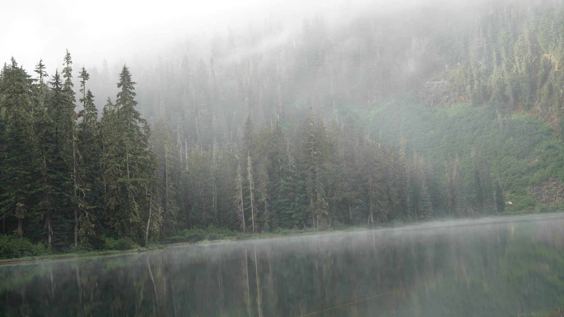 Camper-submitted photo at Cora Lake Back Country near Longmire, WA