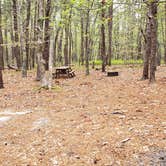 Review photo of Wellfleet Hollow State Park Campground by Jean C., May 30, 2020