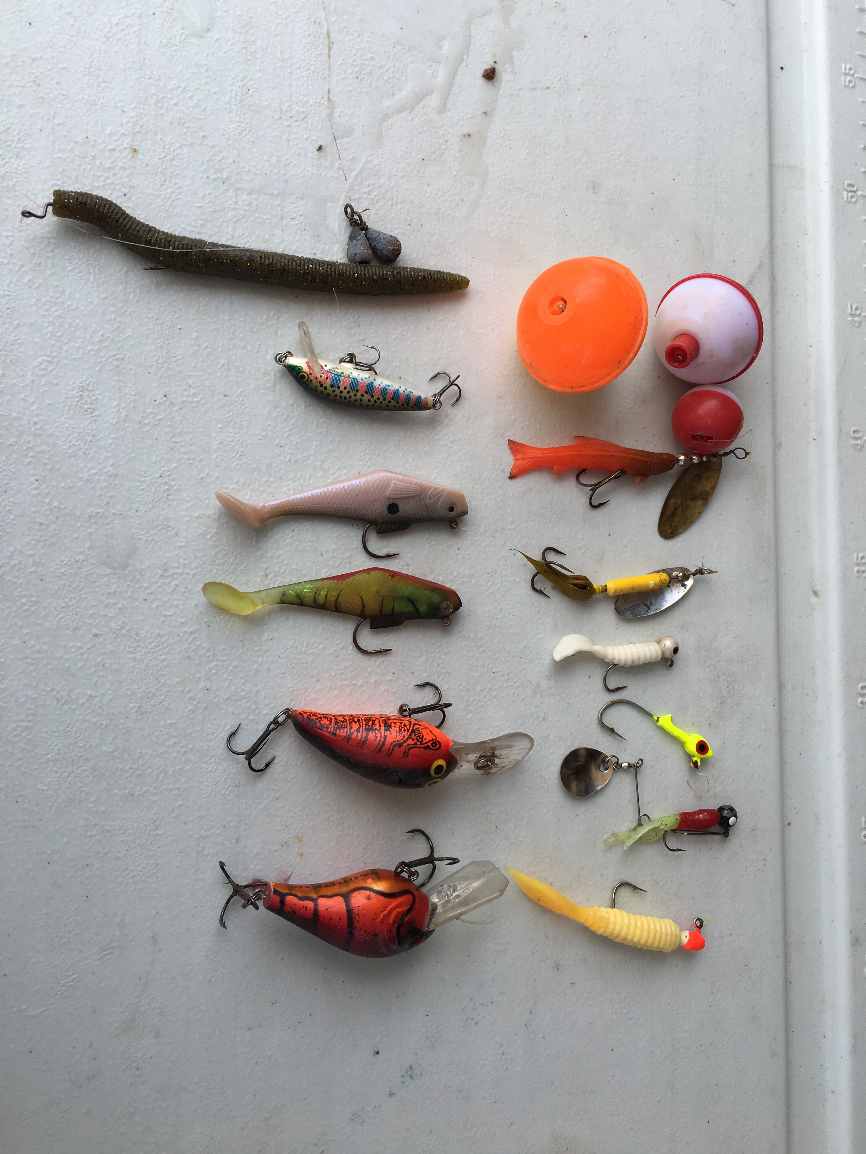 Lures found in the tree/bushes in the lake