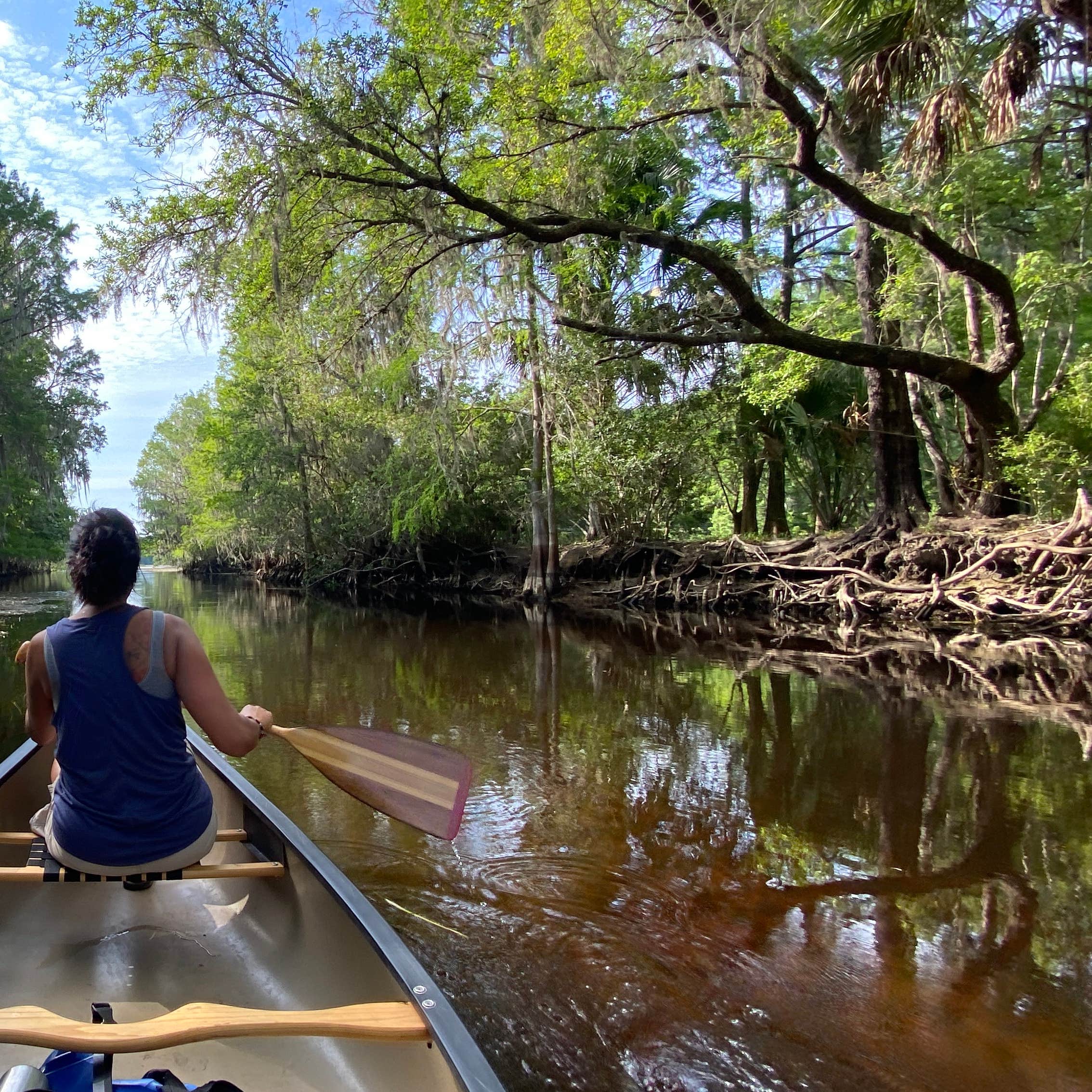 Thousand Palms RV Resort Camping The Dyrt