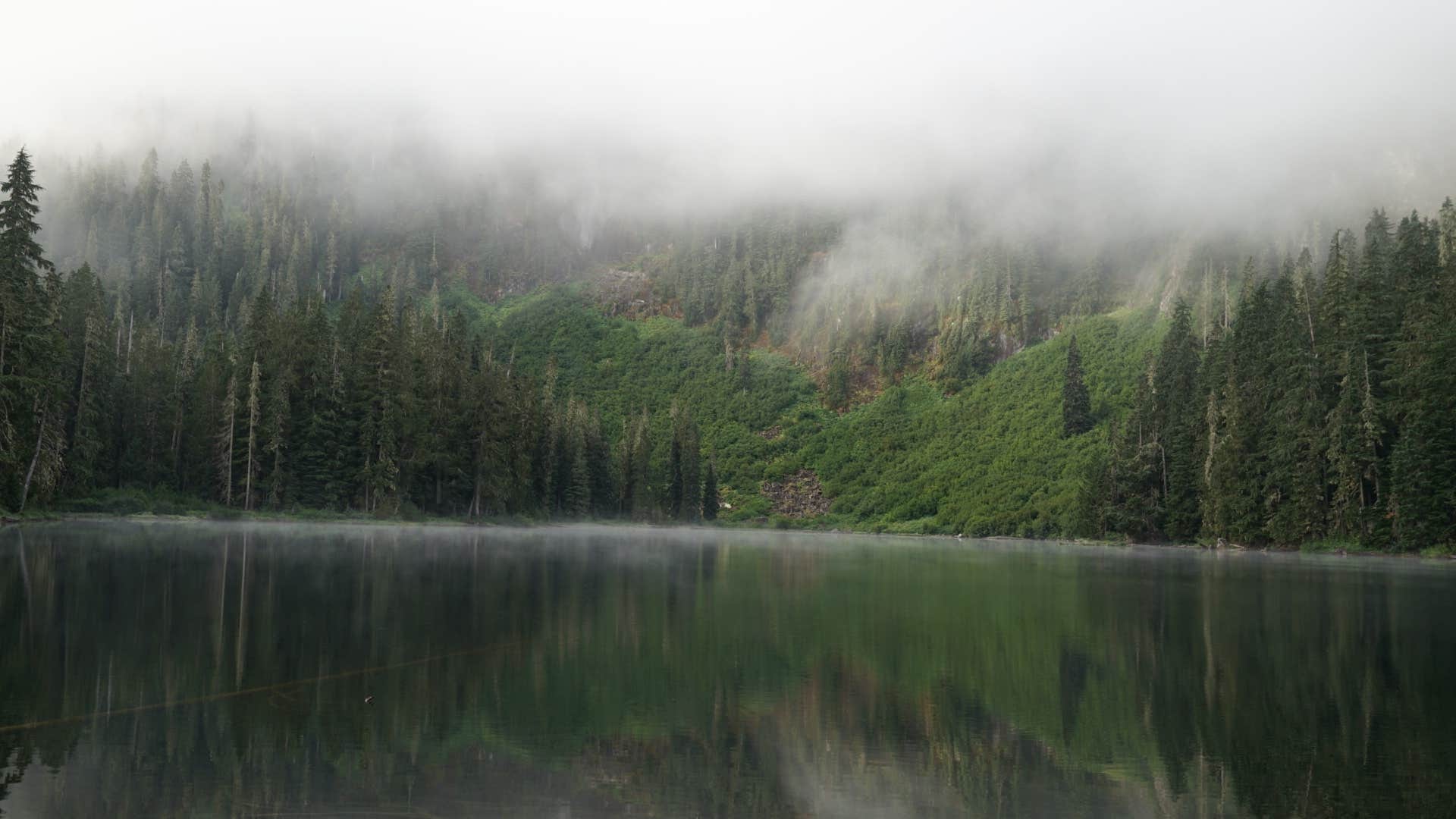 Dawnielle C.'s photo of a dispersed camping area at Cora Lake Back Country near Orting, WA