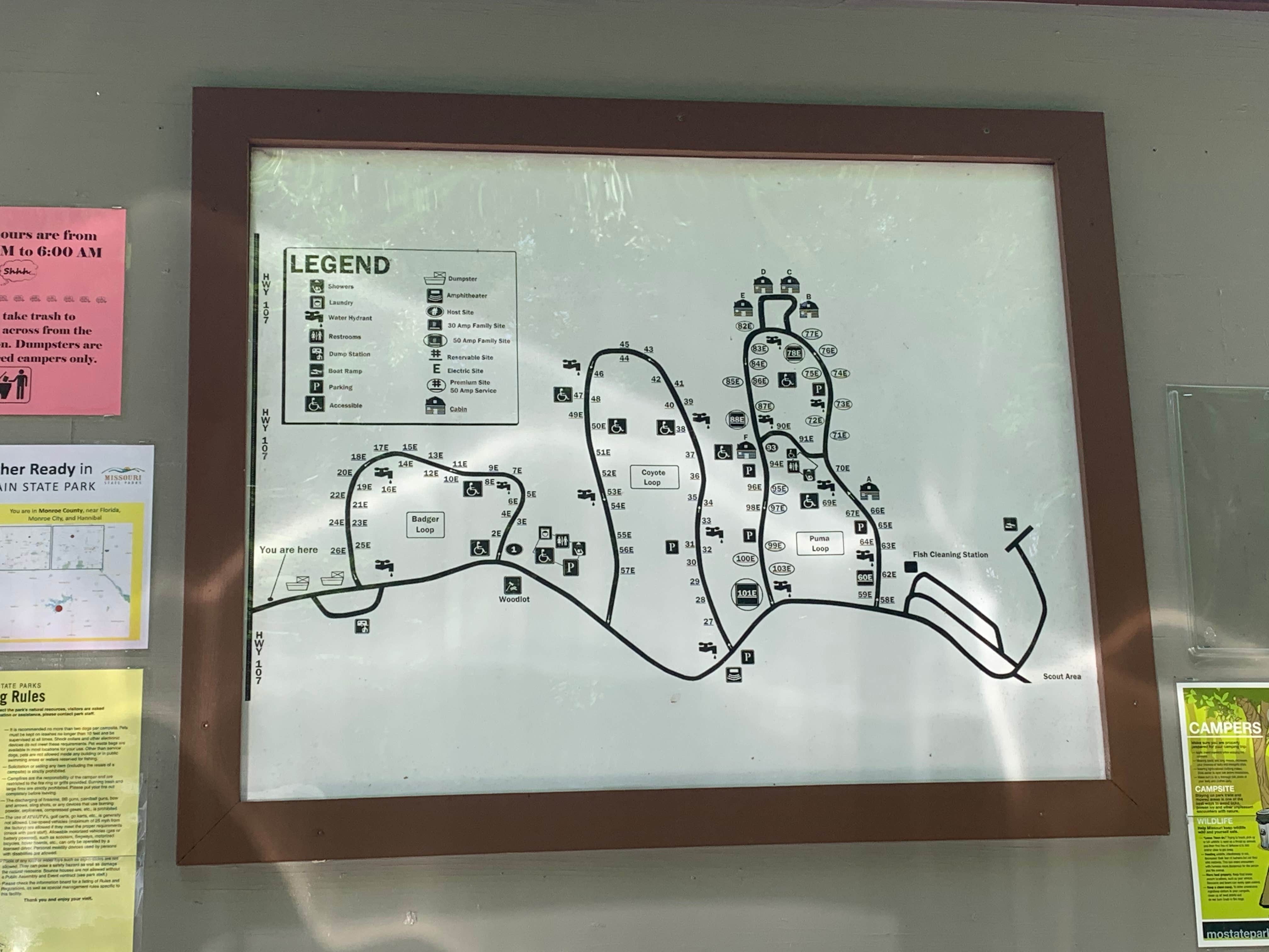 Camper-submitted photo at Coyote — Mark Twain State Park near Holliday, MO