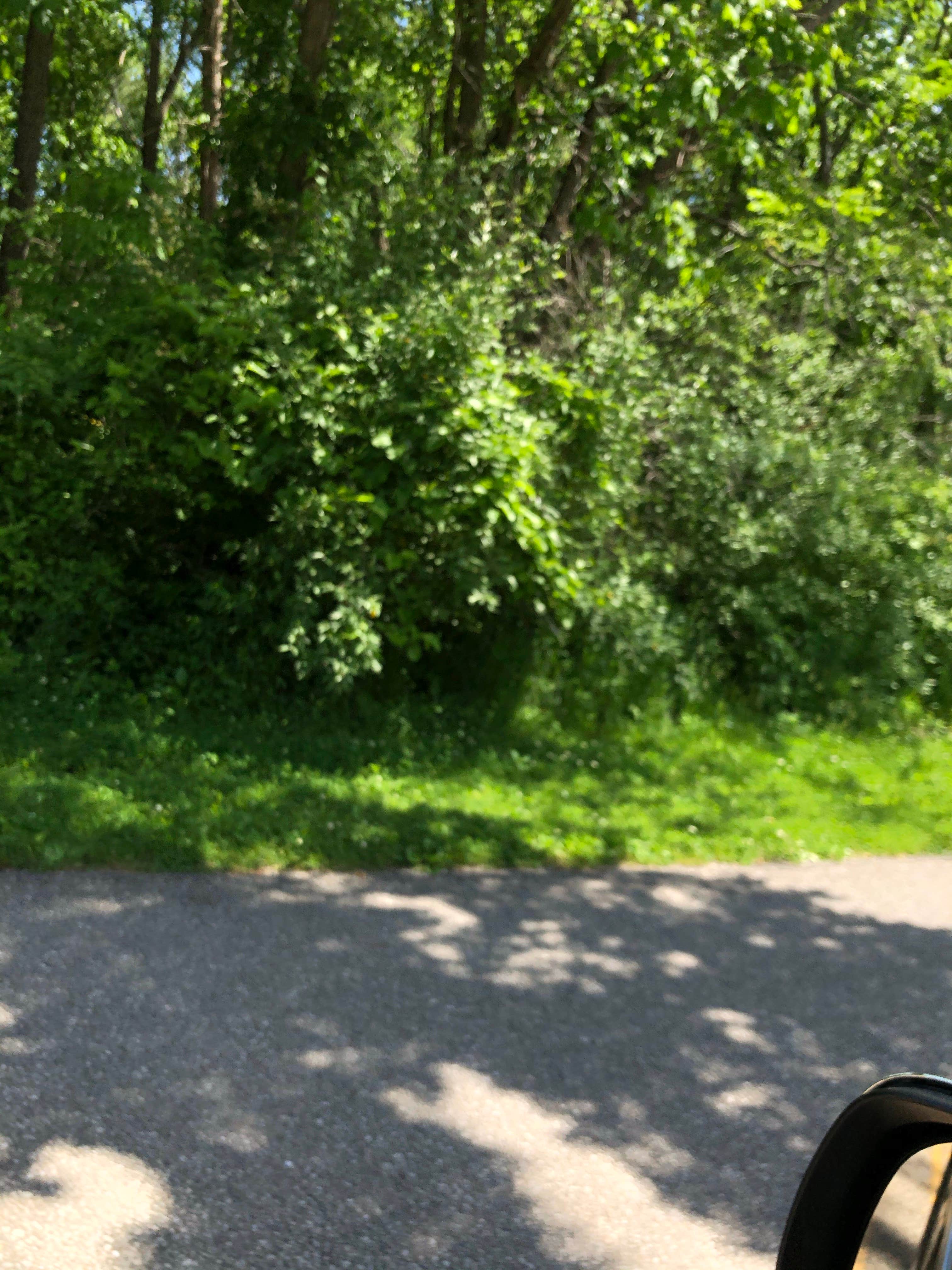 Camper-submitted photo at Equestrian Campground — Elk Rock State Park near Knoxville, IA