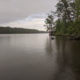 Review photo of Goose Creek State Park Campground by Anna B., May 30, 2020