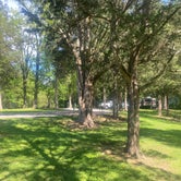 Review photo of Dixon Springs State Park Campground by Jessica R., May 30, 2020