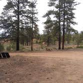 Review photo of Tom Best Spring Road FR117 Dispersed - Dixie National Forest by John R., May 30, 2020