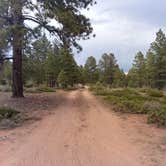 Review photo of Tom Best Spring Road FR117 Dispersed - Dixie National Forest by John R., May 30, 2020