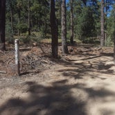 Review photo of C64 Copper Basin Road Dispersed Camping by Krista Z., October 4, 2017