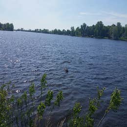 Mina Lake Recreation Area