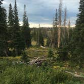 Review photo of Point Supreme Campground — Cedar Breaks National Monument by Larry N., May 31, 2020