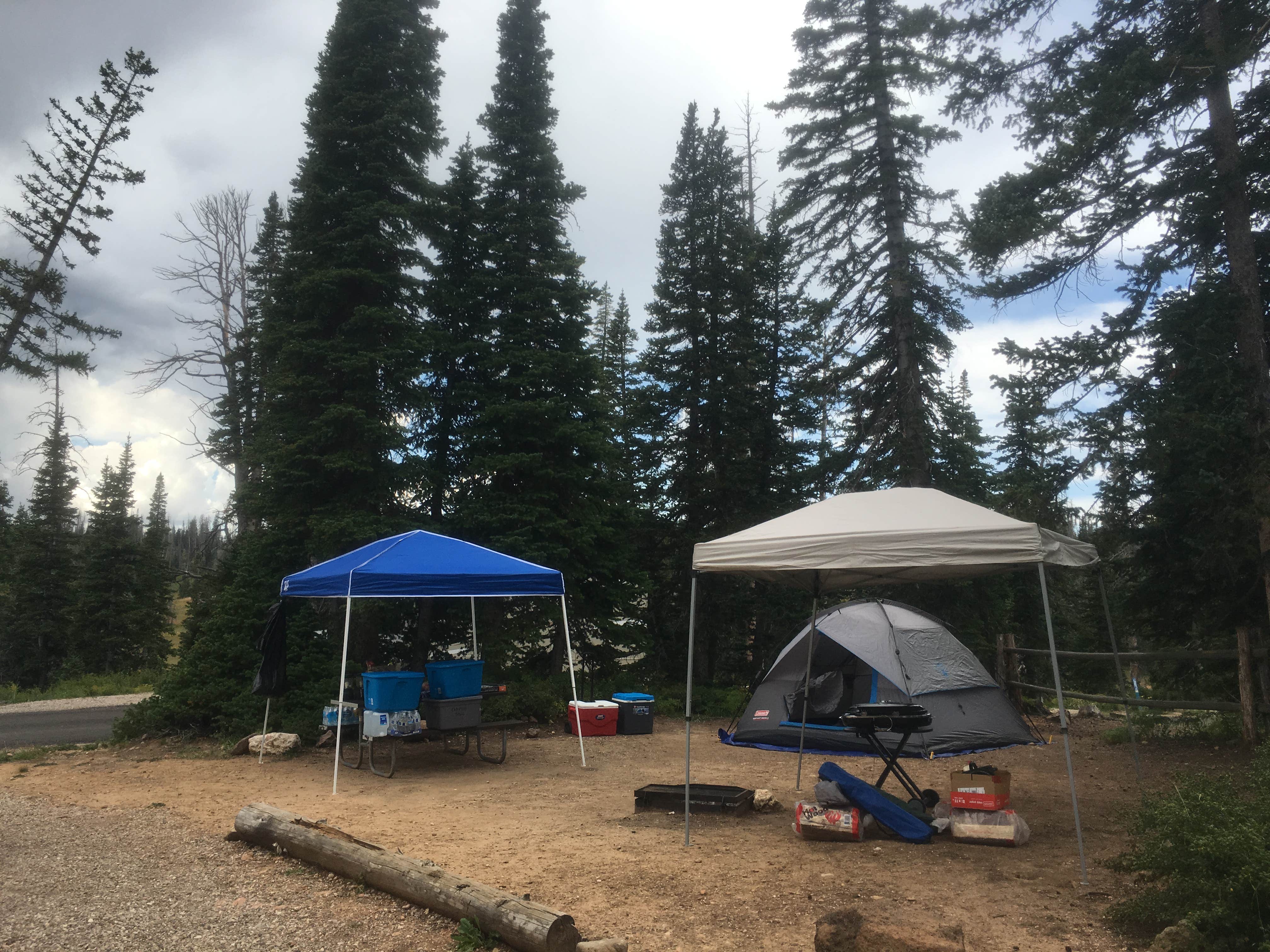 Larry N.'s photo at Point Supreme Campground — Cedar Breaks National Monument near Parowan, UT