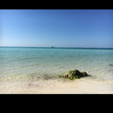 Review photo of Bahia Honda State Park - Bayside by Alyssa D., May 15, 2020