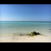 Review photo of Bayside Campground — Bahia Honda State Park by Alyssa D., May 15, 2020