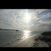 Review photo of Shell Key Preserve by Alyssa D., May 15, 2020