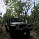 Review photo of Hopkins Prairie Campground — National Forests In Florida by Alyssa D., May 24, 2020