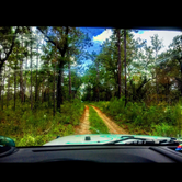 Review photo of Hopkins Prairie Campground — National Forests In Florida by Alyssa D., May 24, 2020