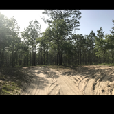 Review photo of Hopkins Prairie Campground by Alyssa D., May 24, 2020
