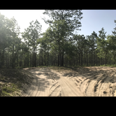 Review photo of Hopkins Prairie Campground — National Forests In Florida by Alyssa D., May 24, 2020