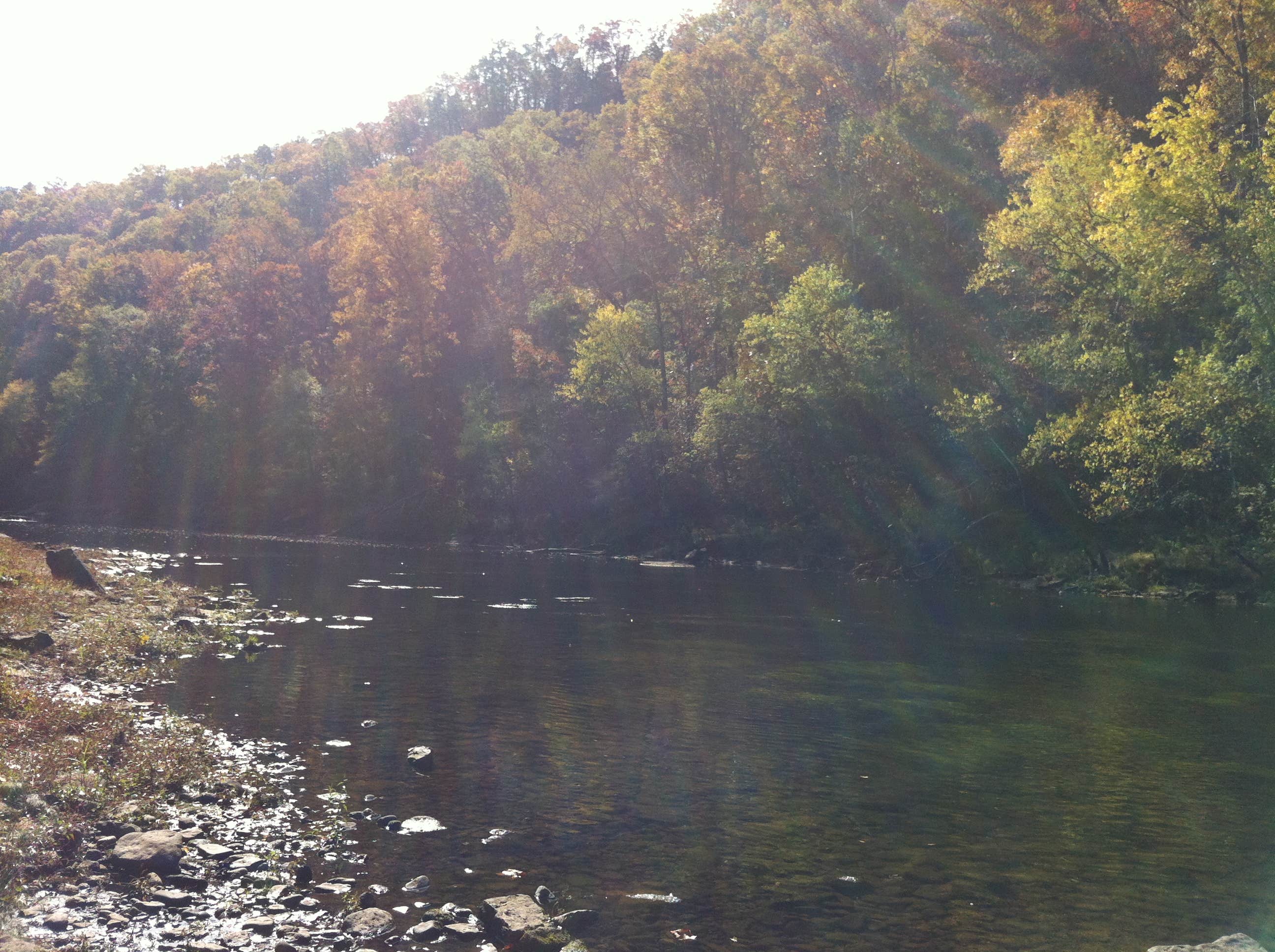 Camper submitted image from John F Kennedy - 5