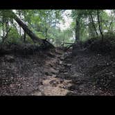 Review photo of Hopkins Prairie Campground — National Forests In Florida by Alyssa D., May 24, 2020